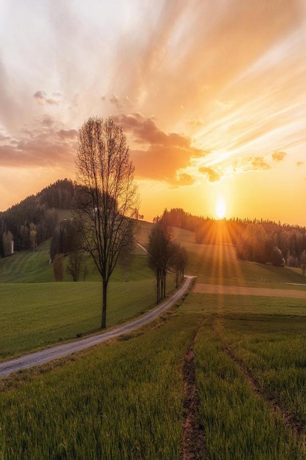 Ferienwohnungen Fichtelgrün Wunsiedel Exterior foto